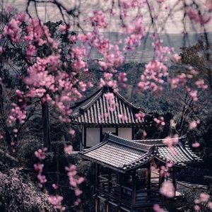 Meet your Posher, Bryan